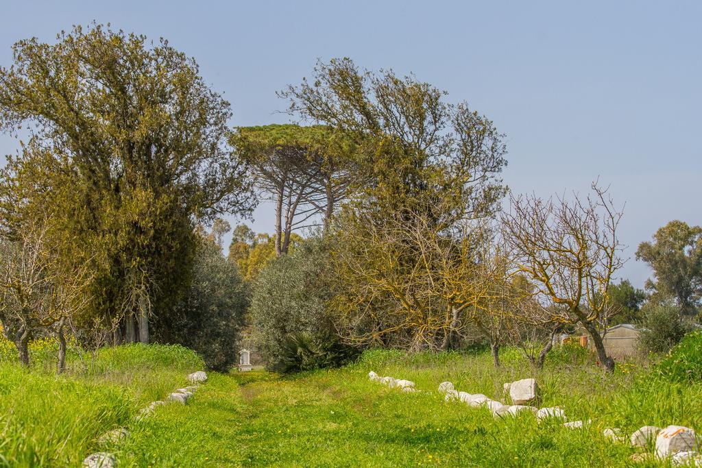 B&B Villa Spada Donadeo Lequile المظهر الخارجي الصورة